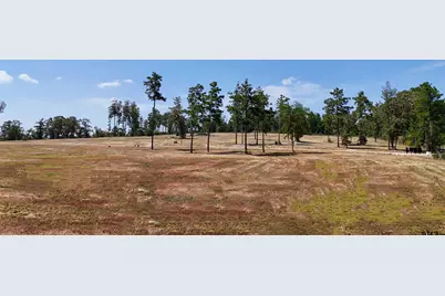 15483 Aniston Ln - (Lot 1), Flint, TX 75762 - Photo 43