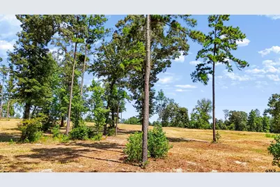 15483 Aniston Ln - (Lot 1), Flint, TX 75762 - Photo 23