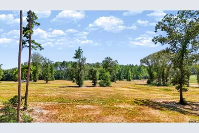 15483 Aniston Ln - (Lot 1), Flint, TX 75762 - Photo 19