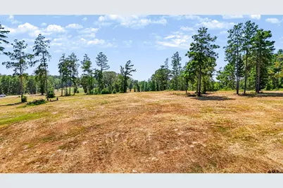 15483 Aniston Ln - (Lot 1), Flint, TX 75762 - Photo 7