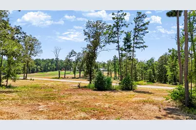 15639 Aniston Ln - (Lot 4), Flint, TX 75762 - Photo 33