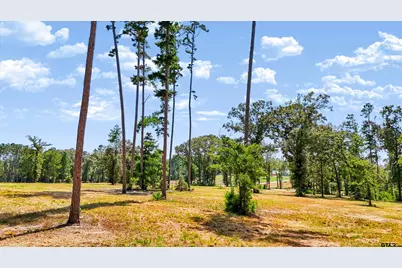 15639 Aniston Ln - (Lot 4), Flint, TX 75762 - Photo 29