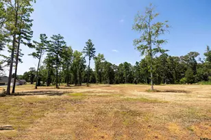 15922 Aniston Ln Lot 20, Flint, TX 75762 - Photo 1