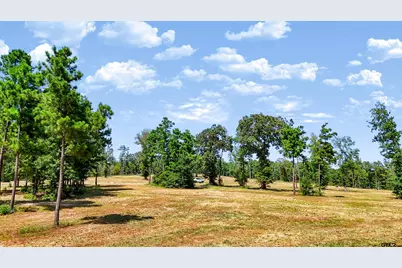 15922 Aniston Ln - (Lot 20), Flint, TX 75762 - Photo 39