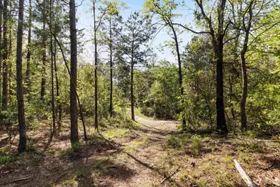 Tbd Fm 852, Winnsboro, TX 75494 - Photo 3