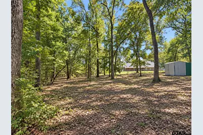 22531 County Road 251, Arp, TX 75750 - Photo 31