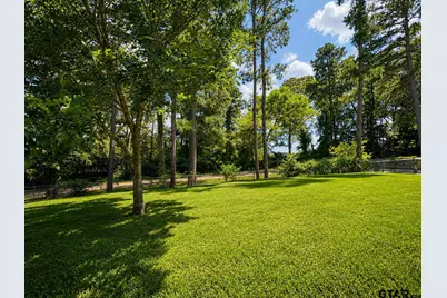 22531 County Road 251, Arp, TX 75750 - Photo 21