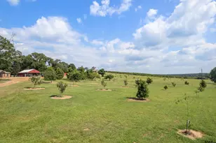 6774 Fm 2888, Naples, TX 75568 - Photo 29