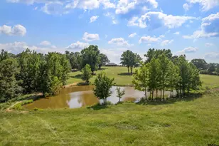 6774 Fm 2888, Naples, TX 75568 - Photo 33