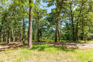 2261 FM 2972, Rusk, TX 75785 - Photo 35
