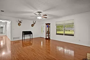 419 Co Rd 4164, Pittsburg, TX 75686 - Photo 7