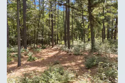 Tract 1 Slash Pine, Big Sandy, TX 75755 - Photo 7