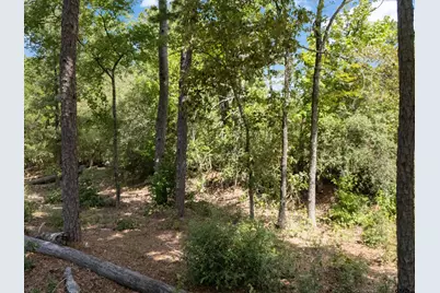 Tract 1 Slash Pine, Big Sandy, TX 75755 - Photo 11