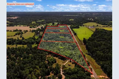 Tract 1 Slash Pine, Big Sandy, TX 75755 - Photo 3