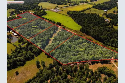 Tract 1 Slash Pine, Big Sandy, TX 75755 - Photo 5