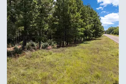 Tract 1 Slash Pine, Big Sandy, TX 75755 - Photo 13