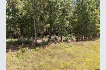Tract 2 Fm 49, Big Sandy, TX 75755 - Photo 15