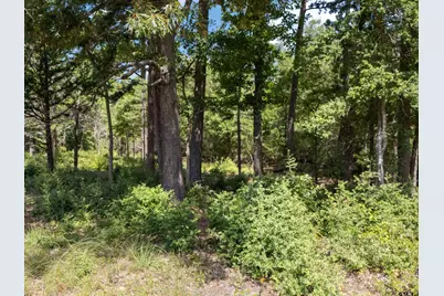 Tract 2 Fm 49, Big Sandy, TX 75755 - Photo 13