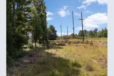 Tract 2 Fm 49, Big Sandy, TX 75755 - Photo 3