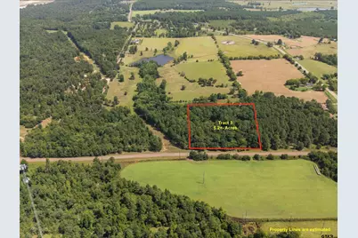 Tract 3 Fm 49, Big Sandy, TX 75755 - Photo 3