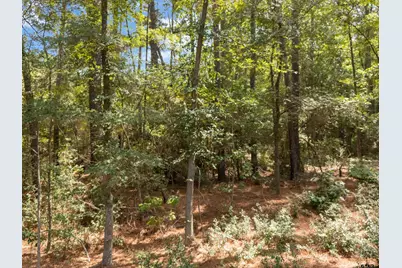 Tract 4 Fm 1002, Big Sandy, TX 75755 - Photo 11