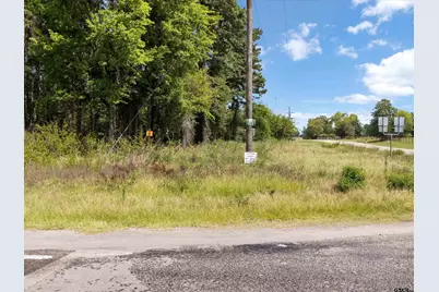 Tract 4 Fm 1002, Big Sandy, TX 75755 - Photo 3
