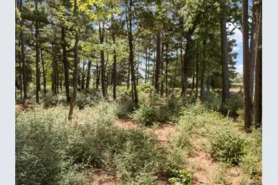 Tract 4 Fm 1002, Big Sandy, TX 75755 - Photo 9