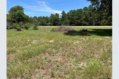4955 St. Hwy 64, Ben Wheeler, TX 75754 - Photo 23