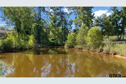 2855 County Road 1310, Rusk, TX 75785 - Photo 45