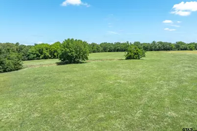 Lot 3 State Highway 19, Emory, TX 75440 - Photo 9