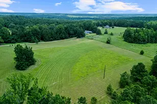 2847 Co Rd 1764, Jefferson, TX 75657 - Photo 13