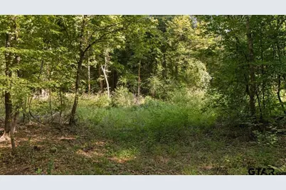 16888 Fm 2767, Tyler, TX 75705 - Photo 11