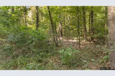16888 Fm 2767, Tyler, TX 75705 - Photo 13