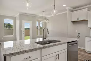 306 Driftwood Way, Whitehouse, TX 75791 - Photo 5