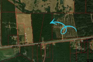 26691 S US Hwy 79, Jacksonville, TX 75766 - Photo 1