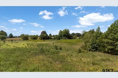 8017 Persimmon Rd, Big Sandy, TX 75755 - Photo 9