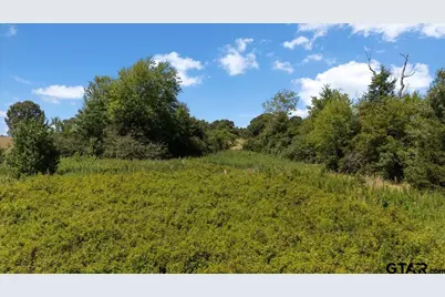 8017 Persimmon Rd, Big Sandy, TX 75755 - Photo 11
