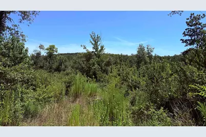 Tbd County Road 372, Winona, TX 75792 - Photo 3