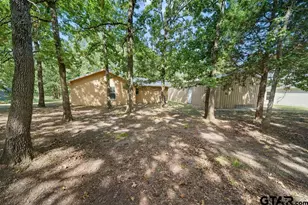 243 Cr 1605, Alba, TX 75410 - Photo 31