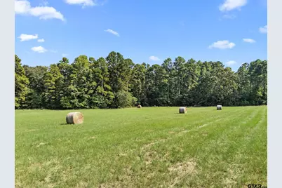 1081 Cr 3875, Mineola, TX 75773 - Photo 5