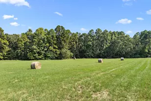 1081 Co Rd 3875, Mineola, TX 75773 - Photo 5