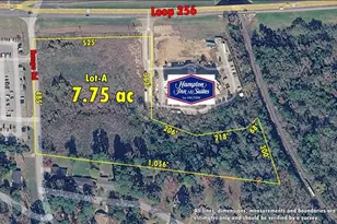 2700 S Loop 256 Lot A, Palestine, TX 75801 - Photo 1