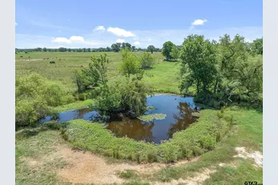 1026 Vz County Road 2115, Canton, TX 75103 - Photo 41