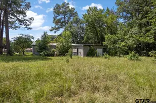 16401 Janan Dr, Tyler, TX 75707 - Photo 17