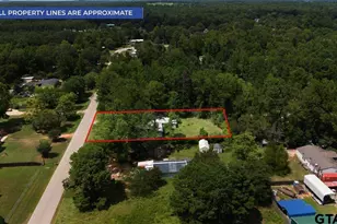 16401 Janan Dr, Tyler, TX 75707 - Photo 3