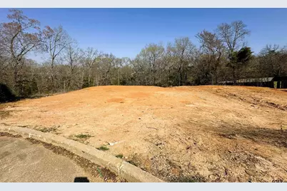 110 Elmwood Court, Palestine, TX 75801 - Photo 5