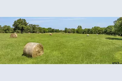 365 County Road 1534, Alba, TX 75410 - Photo 5
