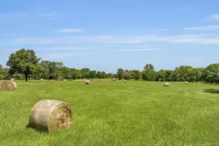 365 Co Rd 1534, Alba, TX 75410 - Photo 5