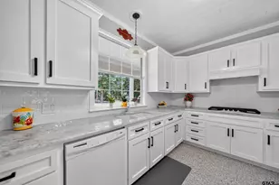 10736 Cr 334, Tyler, TX 75708 - Photo 19