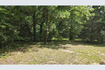 22695 Cr 223, Arp, TX 75750 - Photo 3
